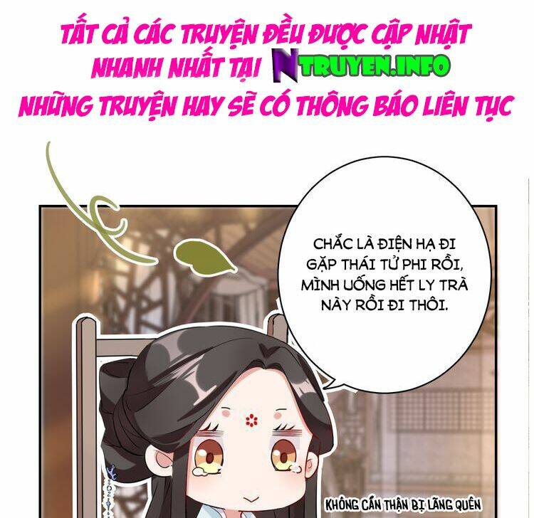 hoa nhan sách chapter 5.2 49