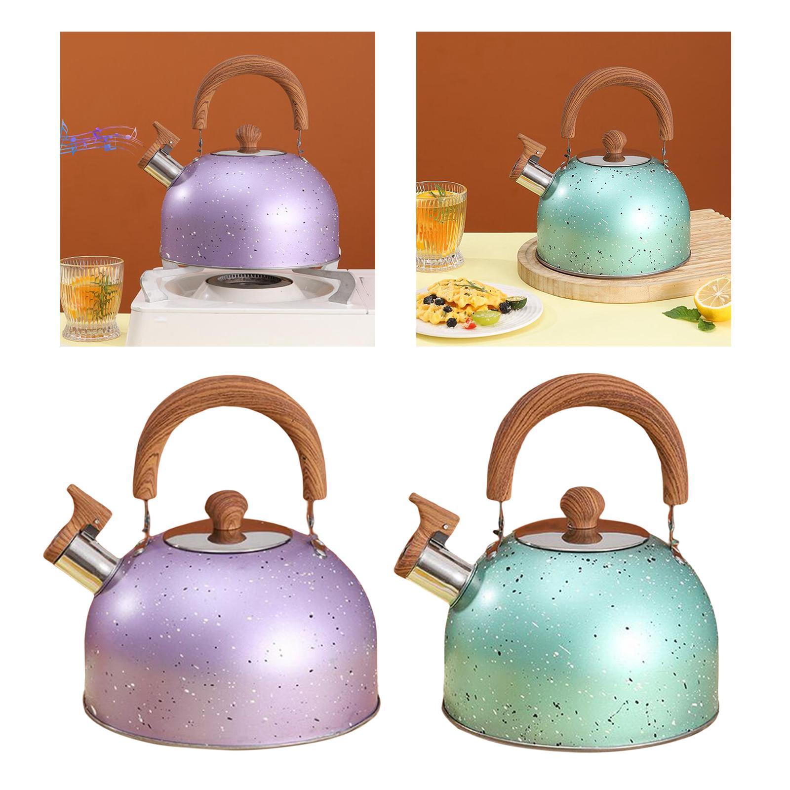 3L Whistle tea Kettle for Boiling water,