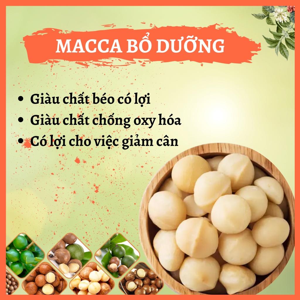 Hạt Macca nứt vỏ Đăk Lăk sấy lạnh giàu dinh dưỡng không hôi dầu 500g từ Nông sản GIỌT NẮNG