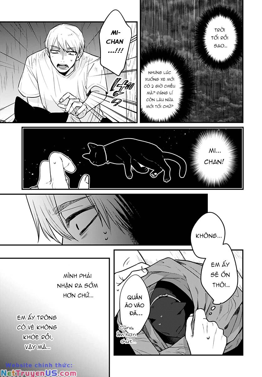 mi-chan muốn được nhận nuôi! chapter 11 29