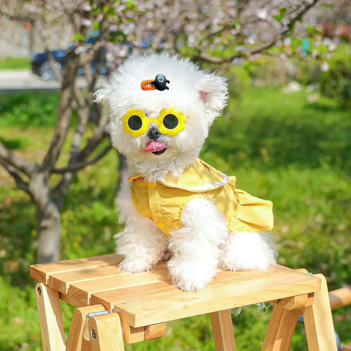 NƠ KẸP TÓC BUỘC TÓC CÀI TÓC THỜI TRANG DỄ THƯƠNG HALLOWEEN MÃ 35 CHO THÚ CƯNG CHÓ MÈO