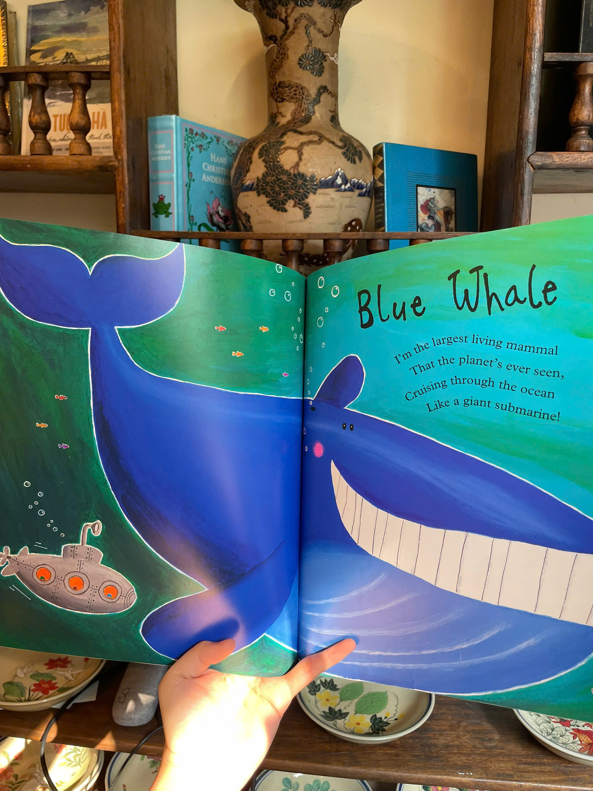 Sách - Mad About Mega Beasts by Giles Andreae - Children Picture Story book in English - Ngoại Văn