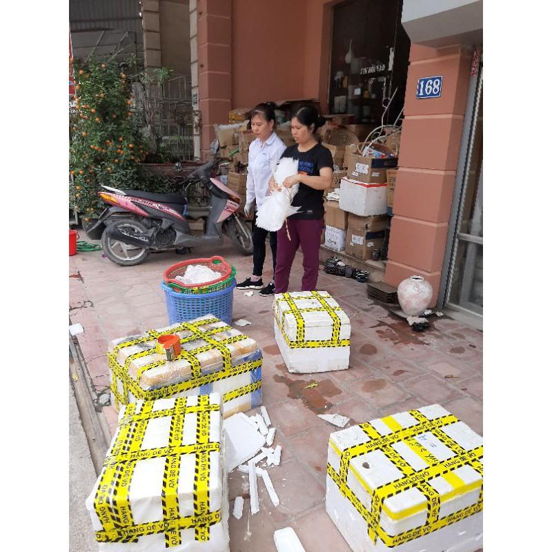 Bộ đồ ăn CÁNH GIÁN cao cấp - Men hỏa biến chuyên cho nhà hàng khách sạn