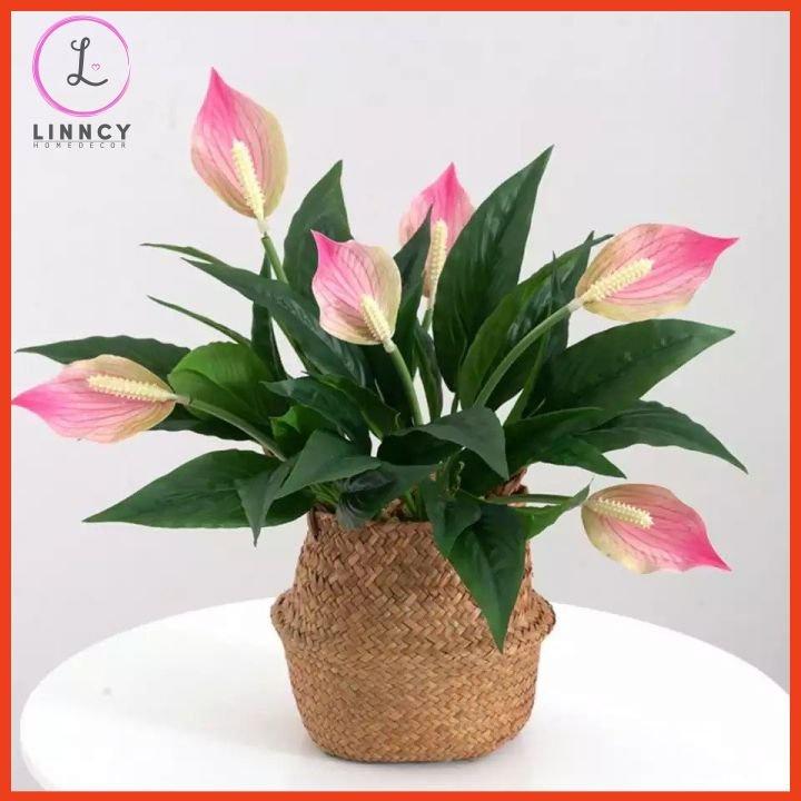 Chậu Hoa Để Bàn Bình Hoa Lan Ý Sang Trọng Cao 47cm Trang Trí Phòng Khách Cửa Hàng Văn Phòng
