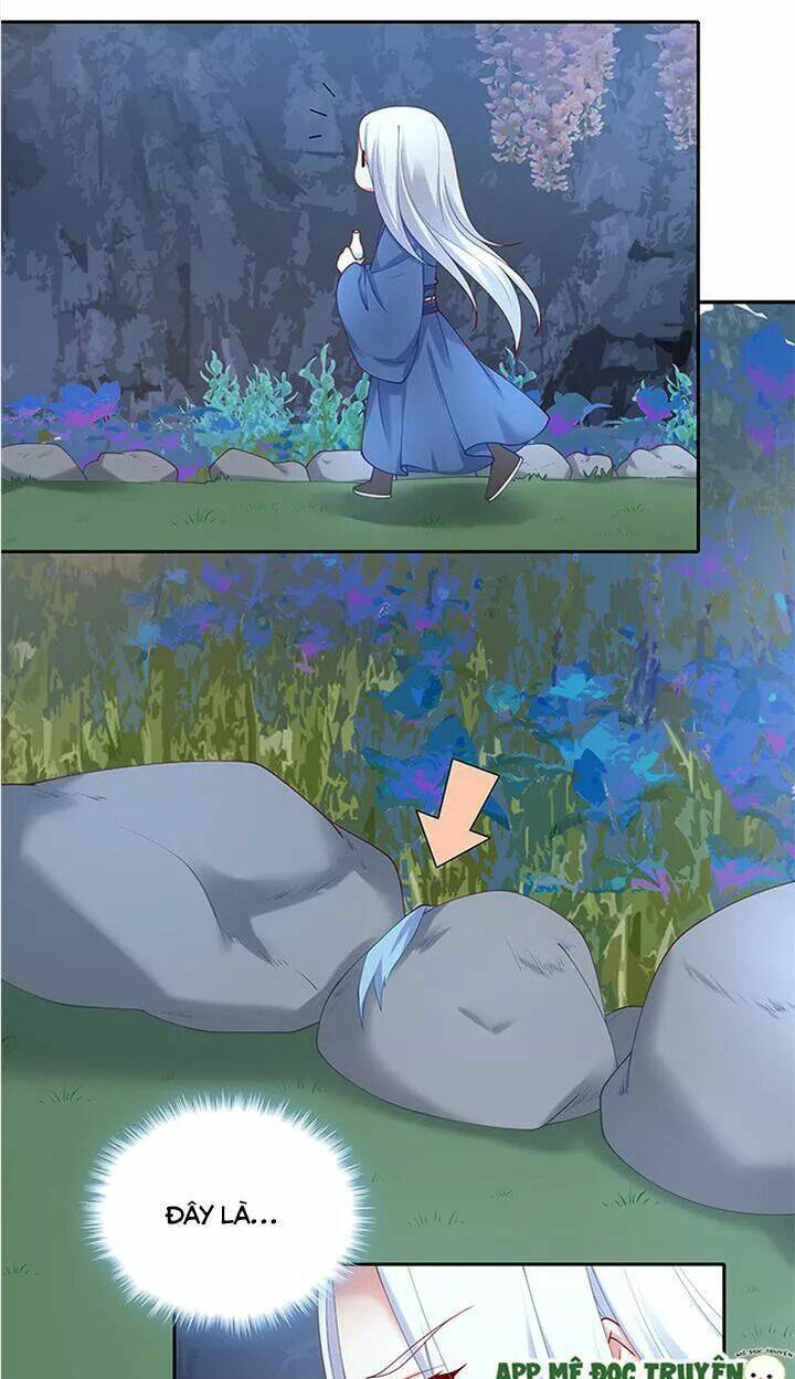 đô đốc đại nhân sủng thê kí chapter 68 25