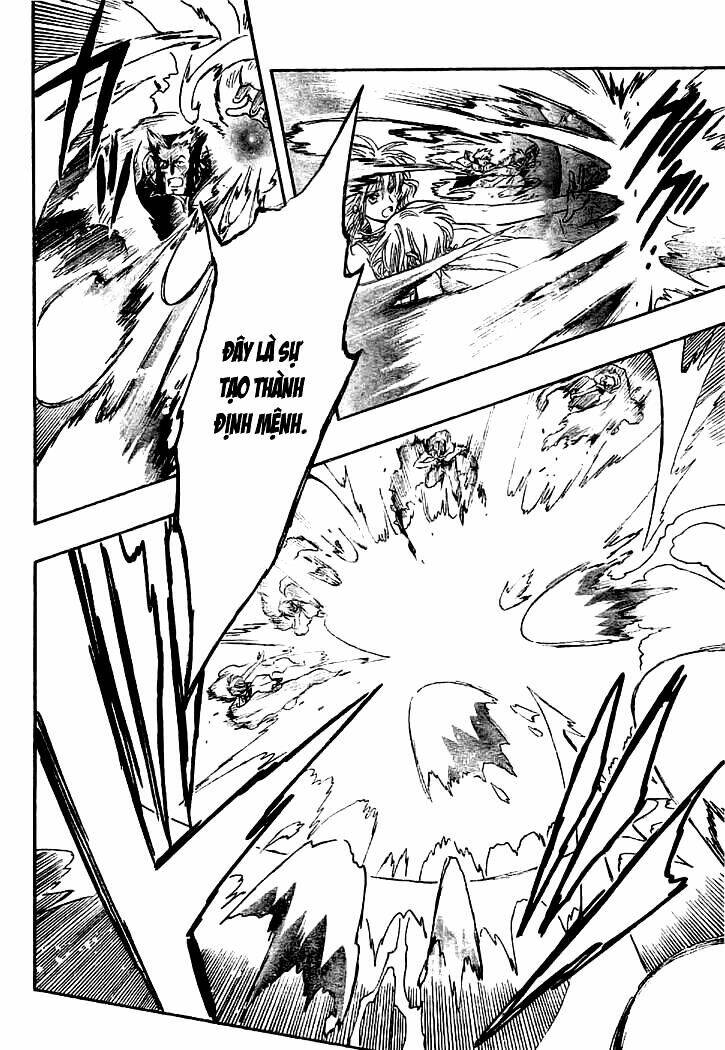 huyền thoại đôi cánh chapter 227 8