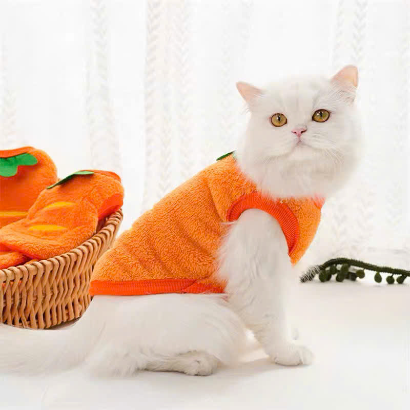 ÁO CÀ RỐT DỄ THƯƠNG CHO THÚ CƯNG CHÓ MÈO