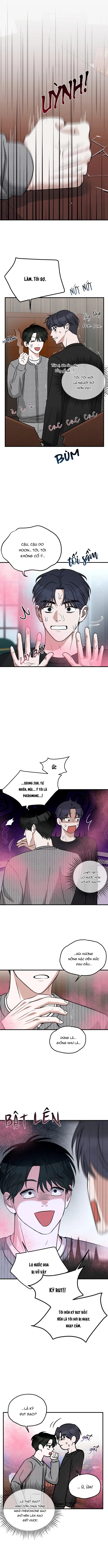 tôi không phải beta đâu nhé! chapter 4 5