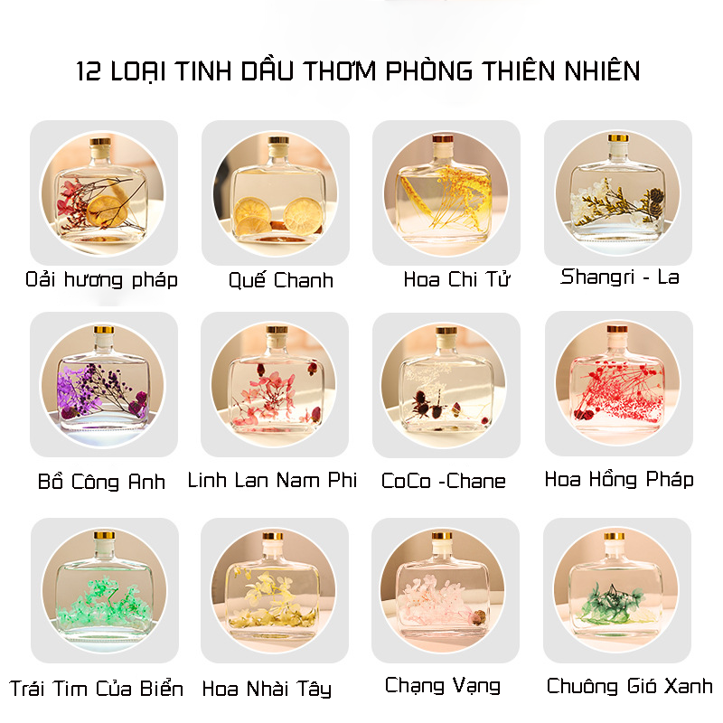 Tinh Dầu Thơm Phòng Thiên Nhiên Oải Hương Pháp - Nước Hoa Thơm Phòng Tạo Không Gian Thoải Mái Que Gỗ Lọ Tự Khuếch Tán Loại 100ml