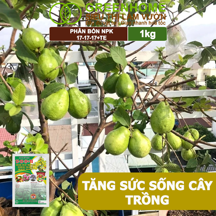 Phân Bón NPK 17-17-17+TE, Greenhome, Gói 1kg, Bung Chồi Đọt, Thúc Nút Kim, Tạo Mầm Dưỡng Hoa