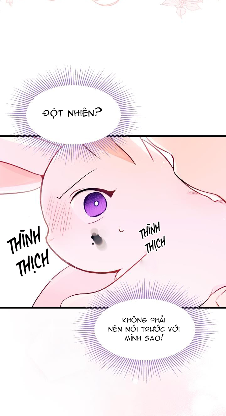 mối liên kết giữa báo đen và bé thỏ chapter 10 56