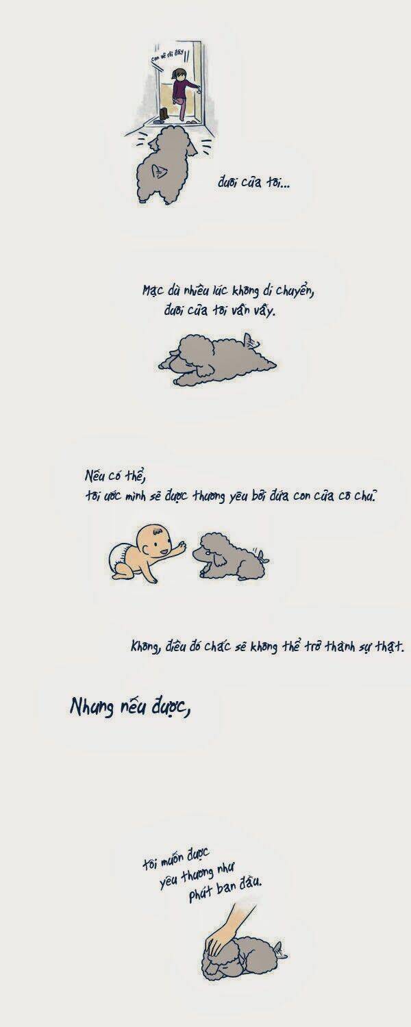 mèo con và chú chó già của tôi chapter 2 4