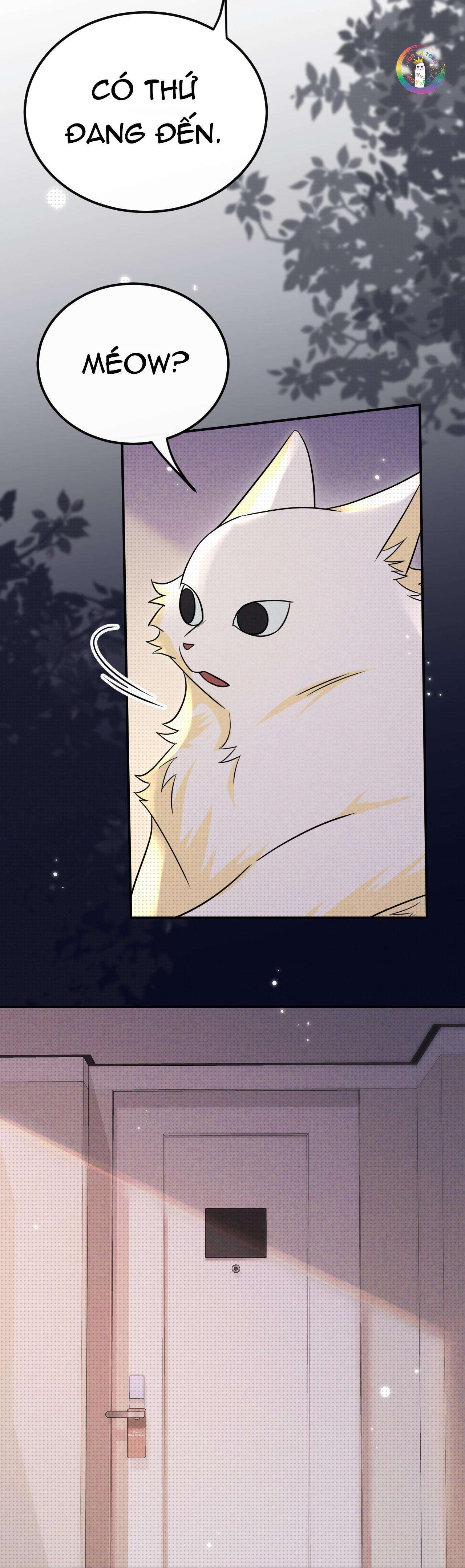 chí âm chí dương chapter 32 12