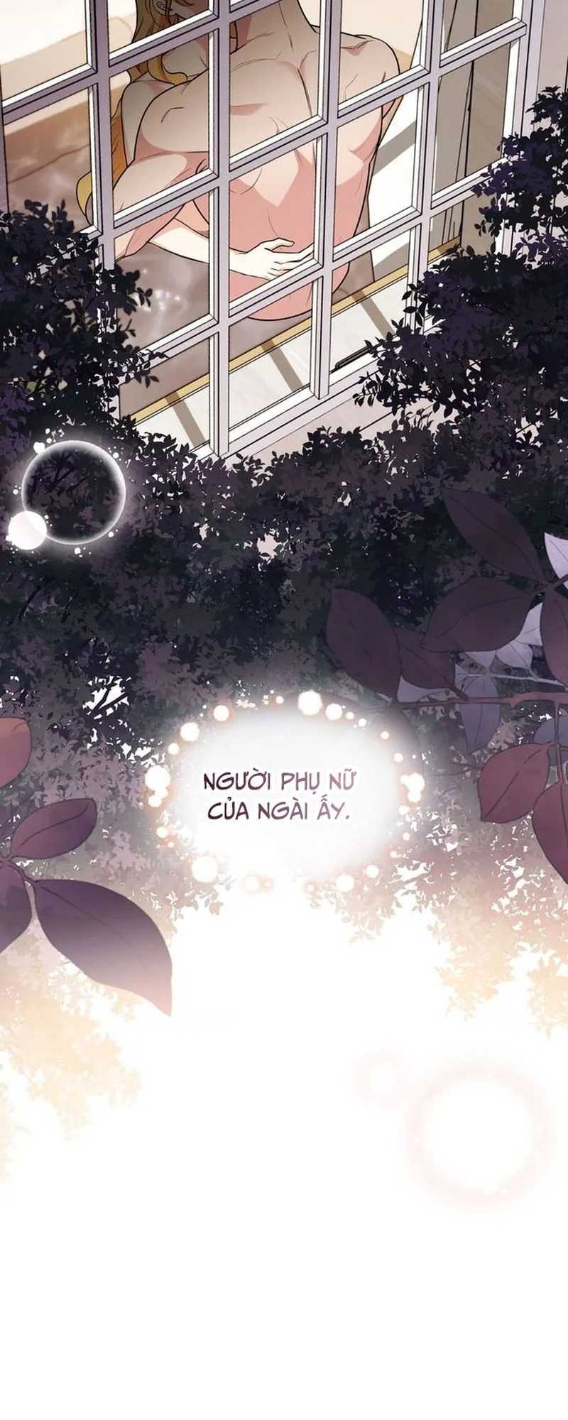 tìm lại camellia chapter 95 29