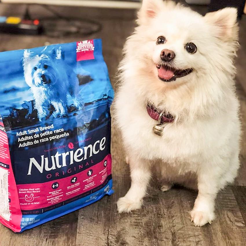 Thức Ăn Cho Chó Pomeranian Nutrience Original Bao 2,5kg - Thịt Gà, Rau Củ Quả, Trái Cây