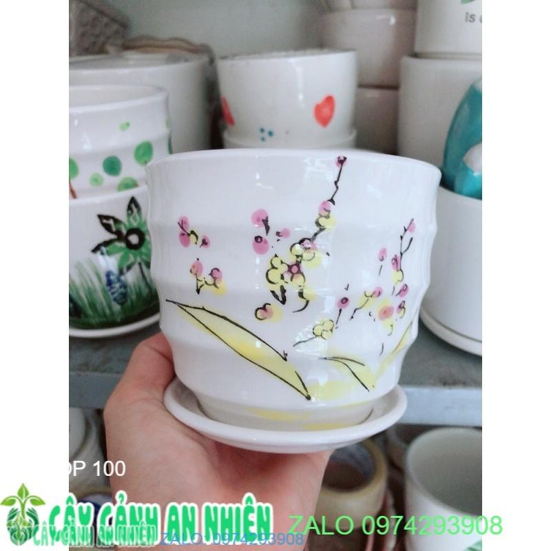 Chậu Trồng Cây