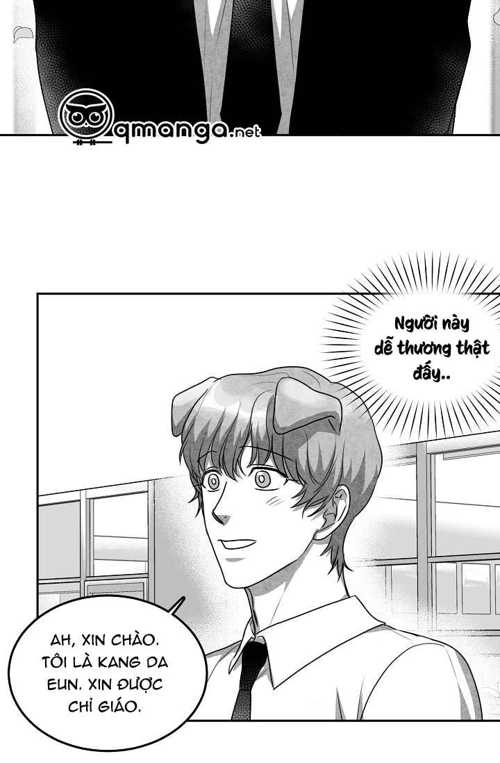 khi cún biết yêu chapter 11 19