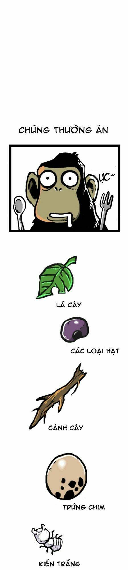 earth, human, and animal chapter 15 14