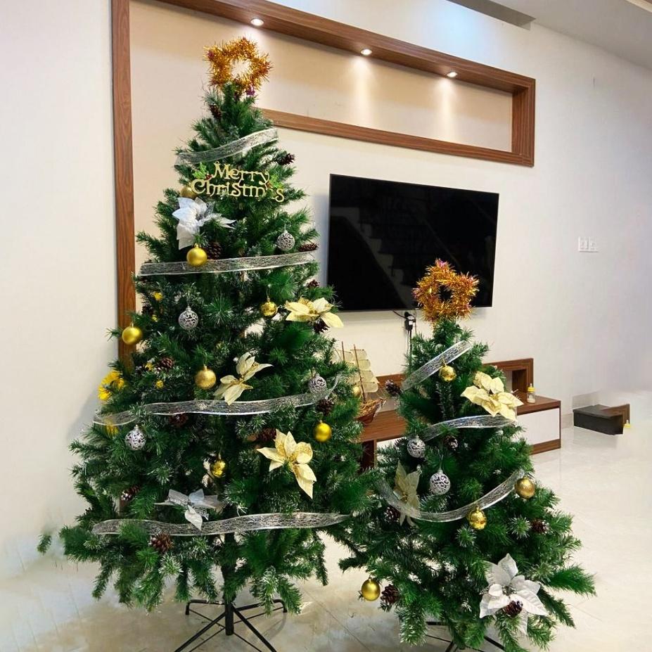 Cây thông noel 3 LOẠI LÁ GẮN TRÁI THÔNG 1M5 1M2 90CM tặng ngôi sao đỉnh và dây kim tuyến