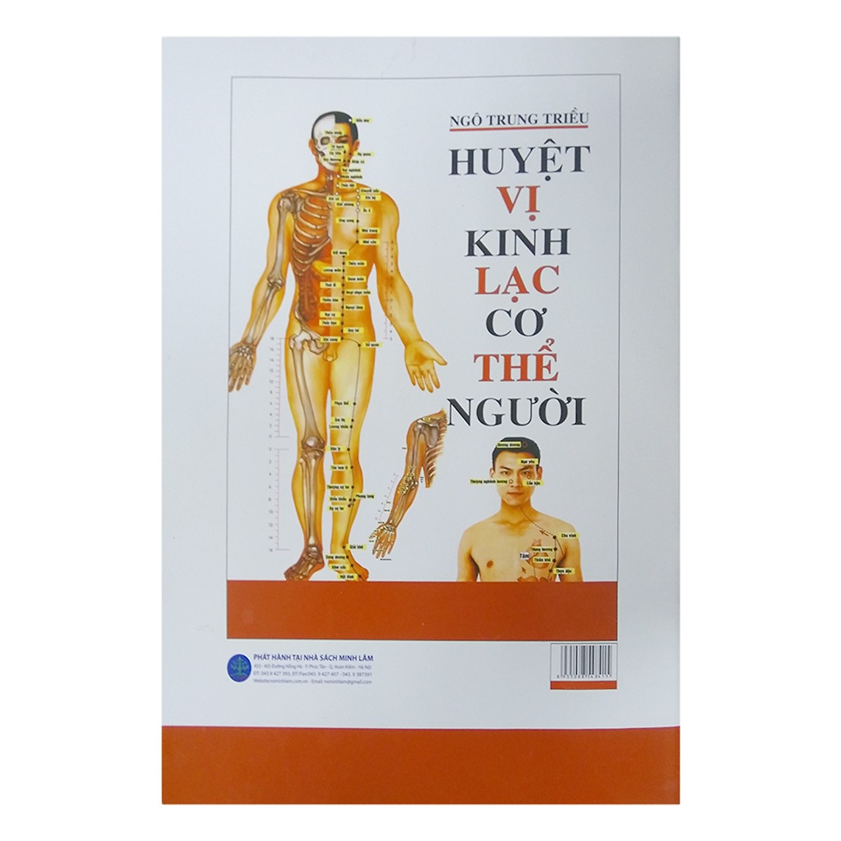 Huyệt Vị Kinh Lạc Cơ Thể Người
