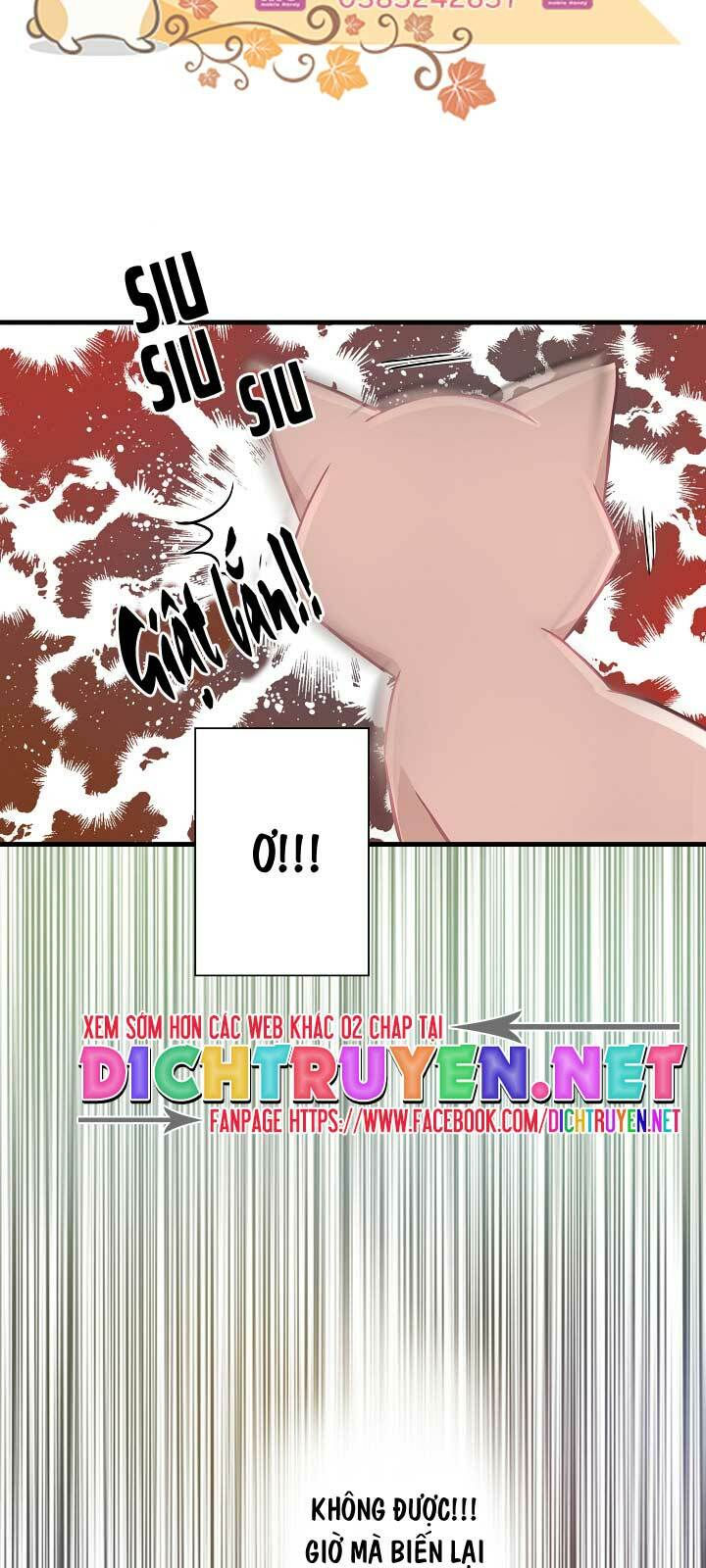 cuộc sống kỳ thú chapter 11 36