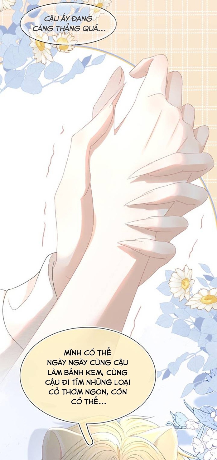 ăn một bé thỏ chapter 84 28