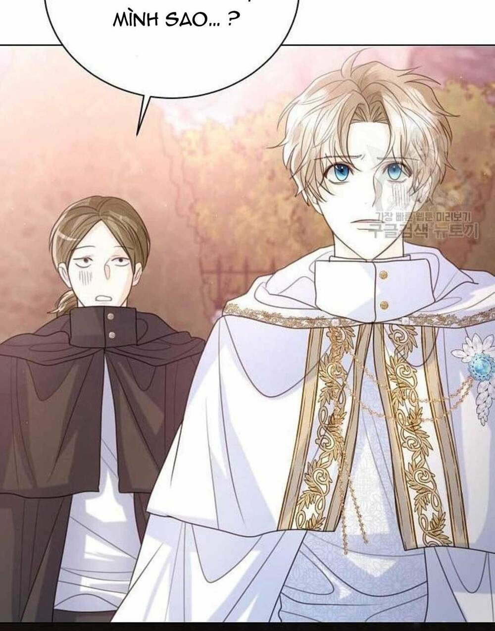 tôi sẽ từ bỏ vị trí hoàng hậu chapter 17 87