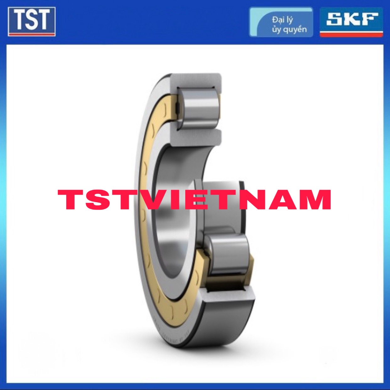 Vòng bi SKF NJ 317 ECM (Chính hãng 100%)