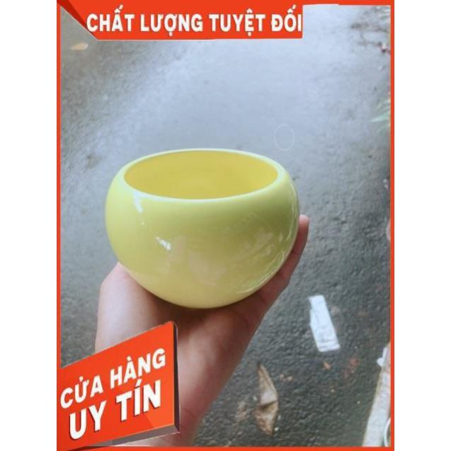 Chậu Trồng Cây