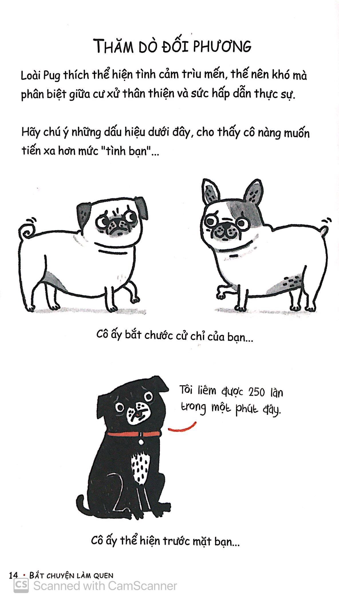 Cẩm Nang Hẹn Hò Của Pug Mặt Phị