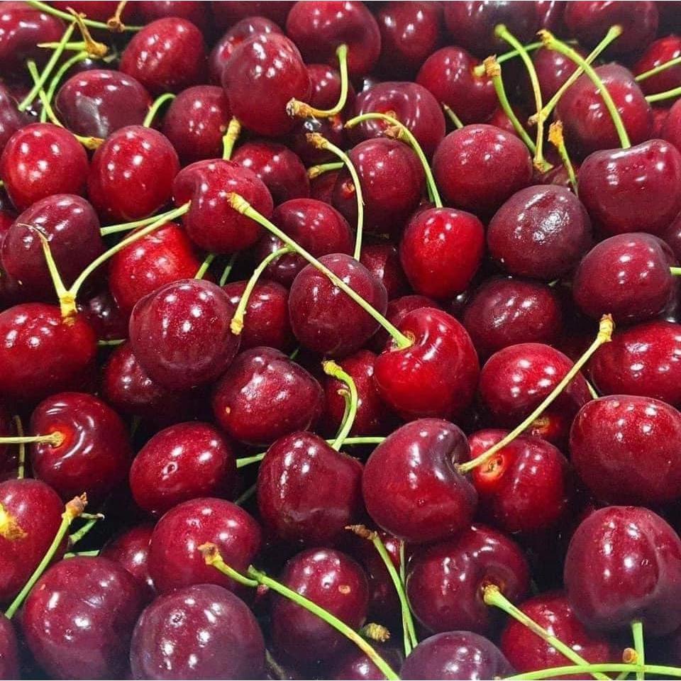 CÂY GIỐNG CHERRY BẦU NHỎ.