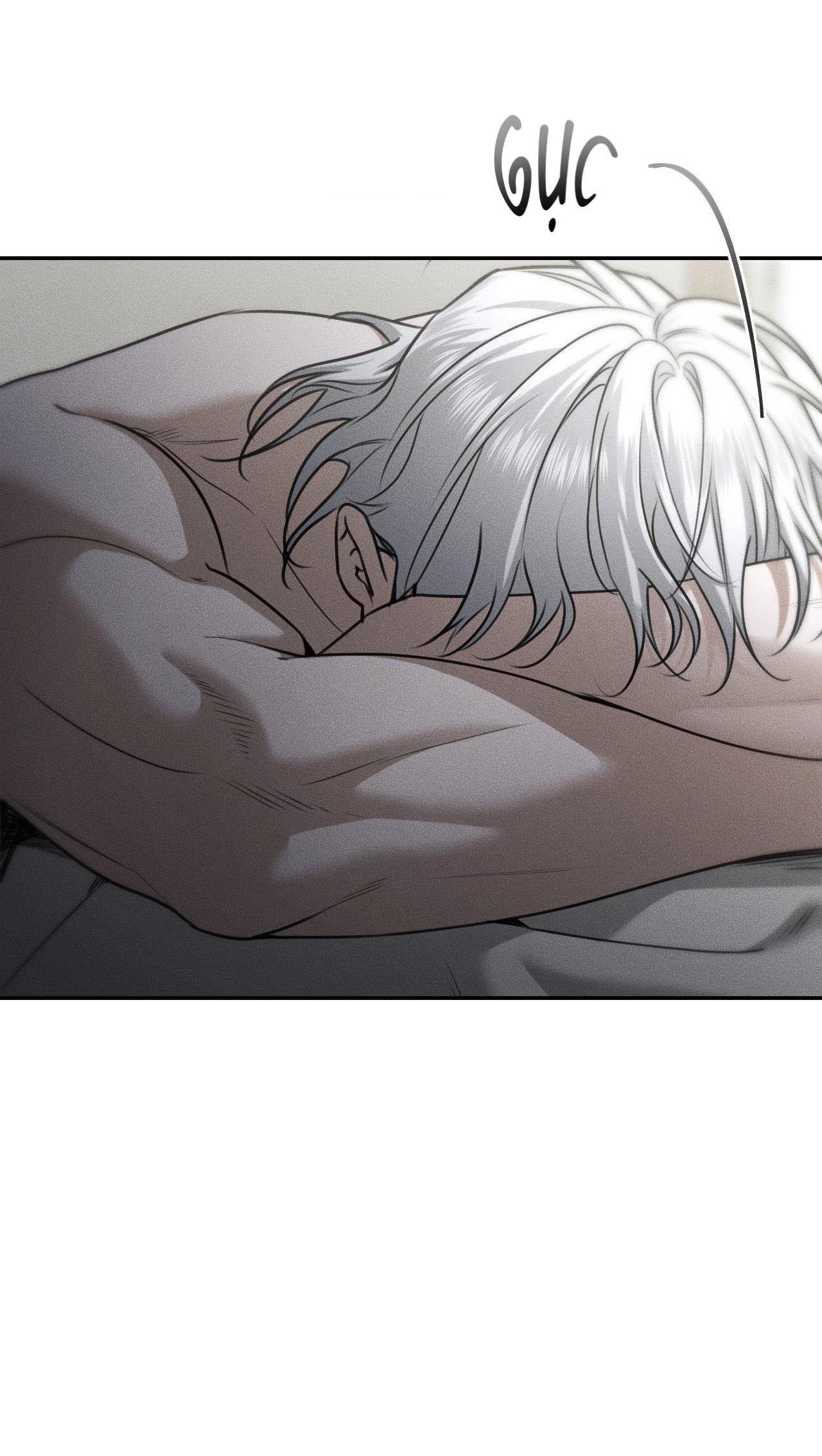 gấu teddy thân yêu chapter 36 57