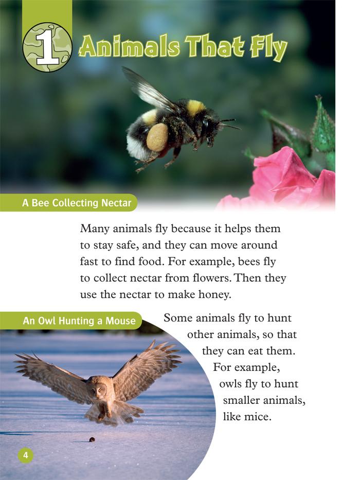 Oxford Read and Discover 3 Animals In the Air