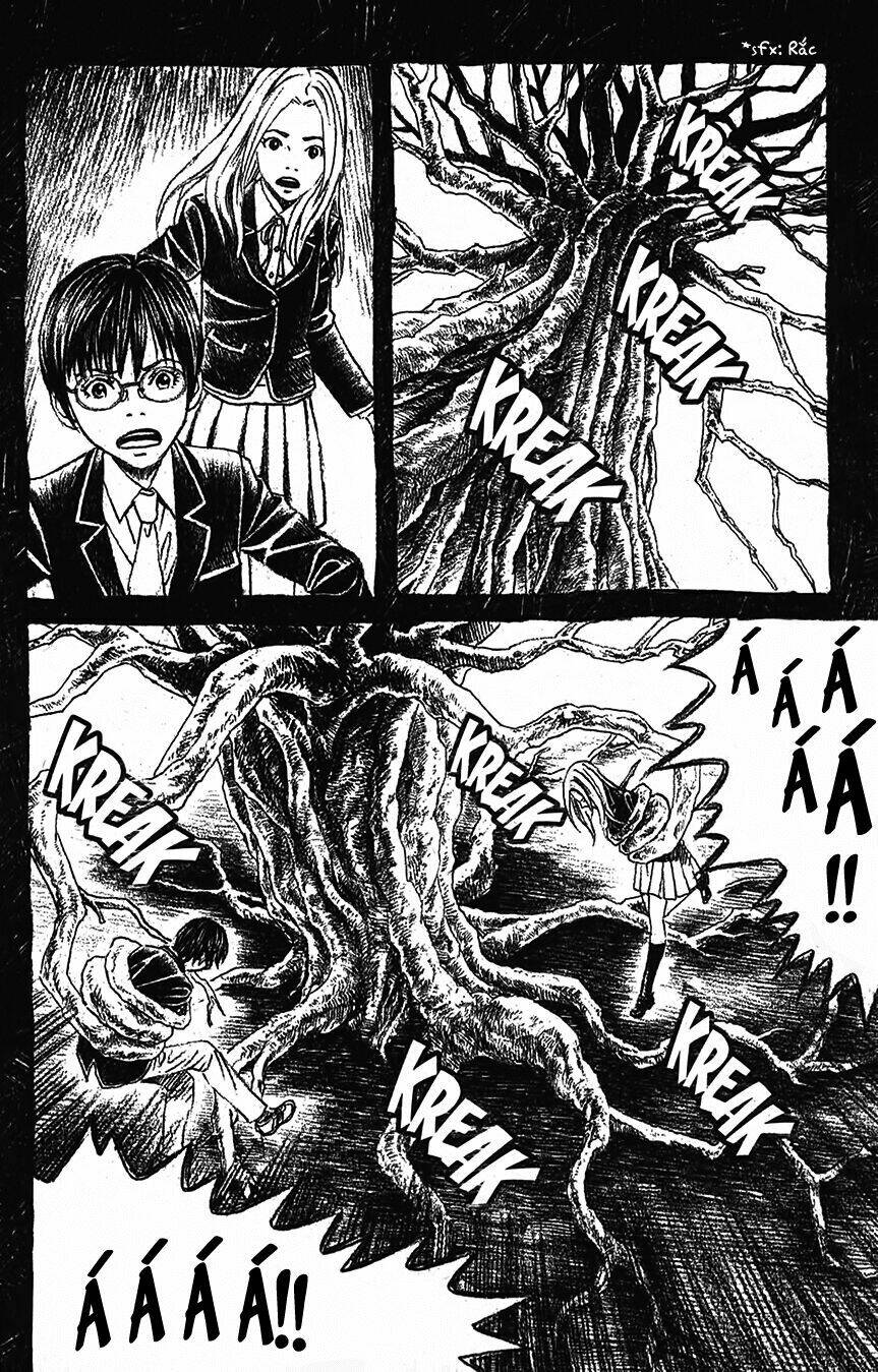 ảo ảnh picasso chapter 3 24