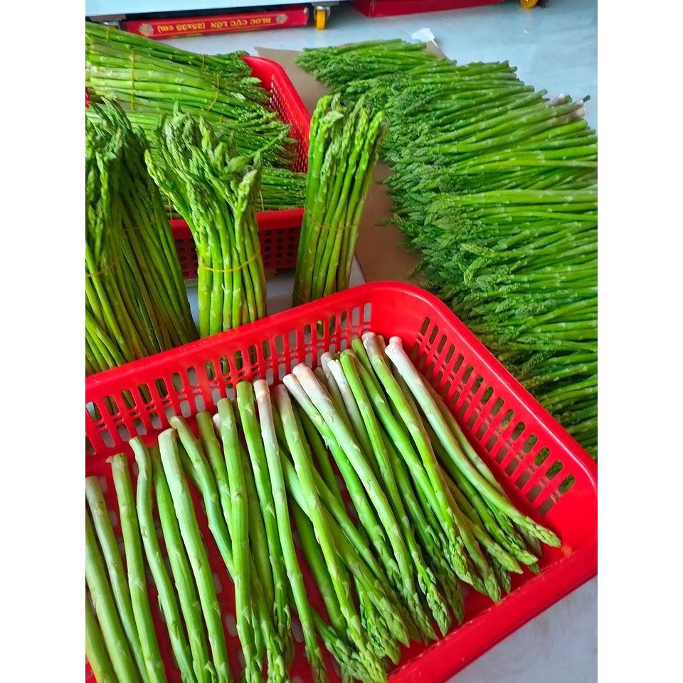 Hạt Giống Măng Tây Xanh Cao Sản 0.2 gram