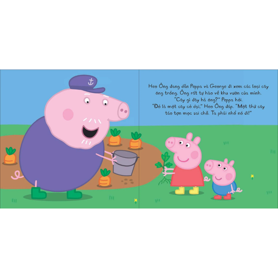 Thế Giới Của Peppa - Giếng Ước
