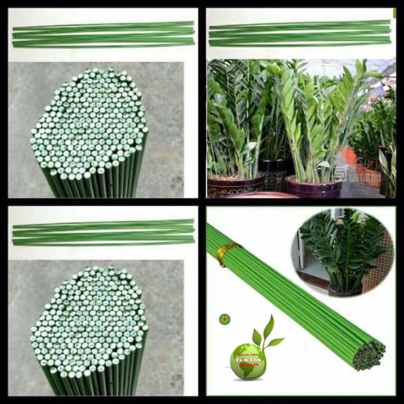 10 Que cắm lan, cây cảnh lõi thép bọc nhựa 1m