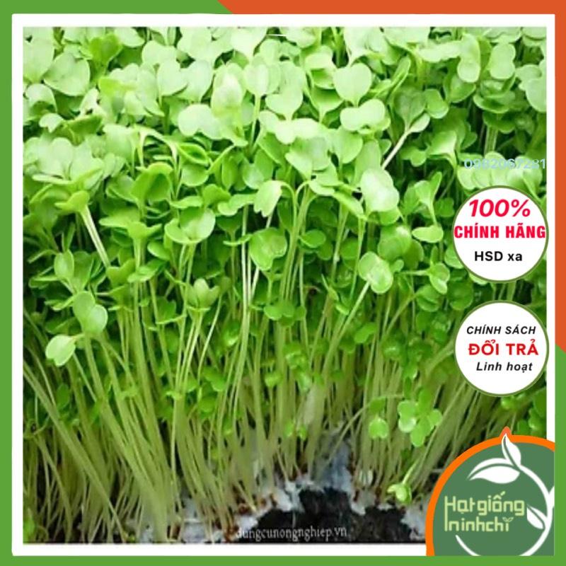 Hạt giống rau mầm cải xanh , nhanh thu hoạch, dễ trồng, giầu dinh dưỡng, Gói 25 gram