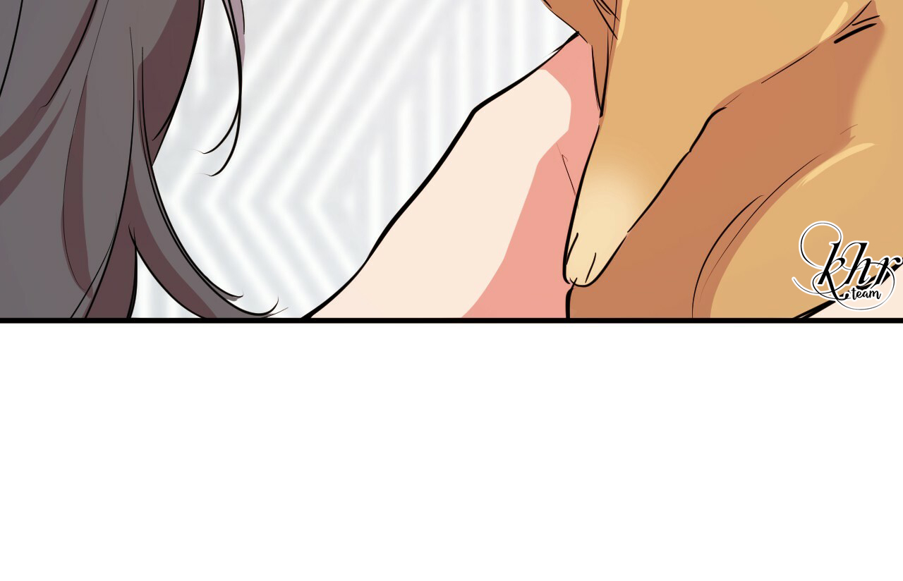 những chú thỏ của hapypy chapter 20 172