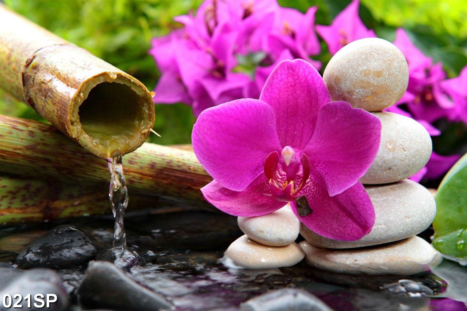 TRANH DÁN TƯỜNG 3D SPA NHẸ NHÀNG SP21 - TRANH NAIL - PHUN XĂM - SALON TÓC - NỐI MI - YAN SHOP