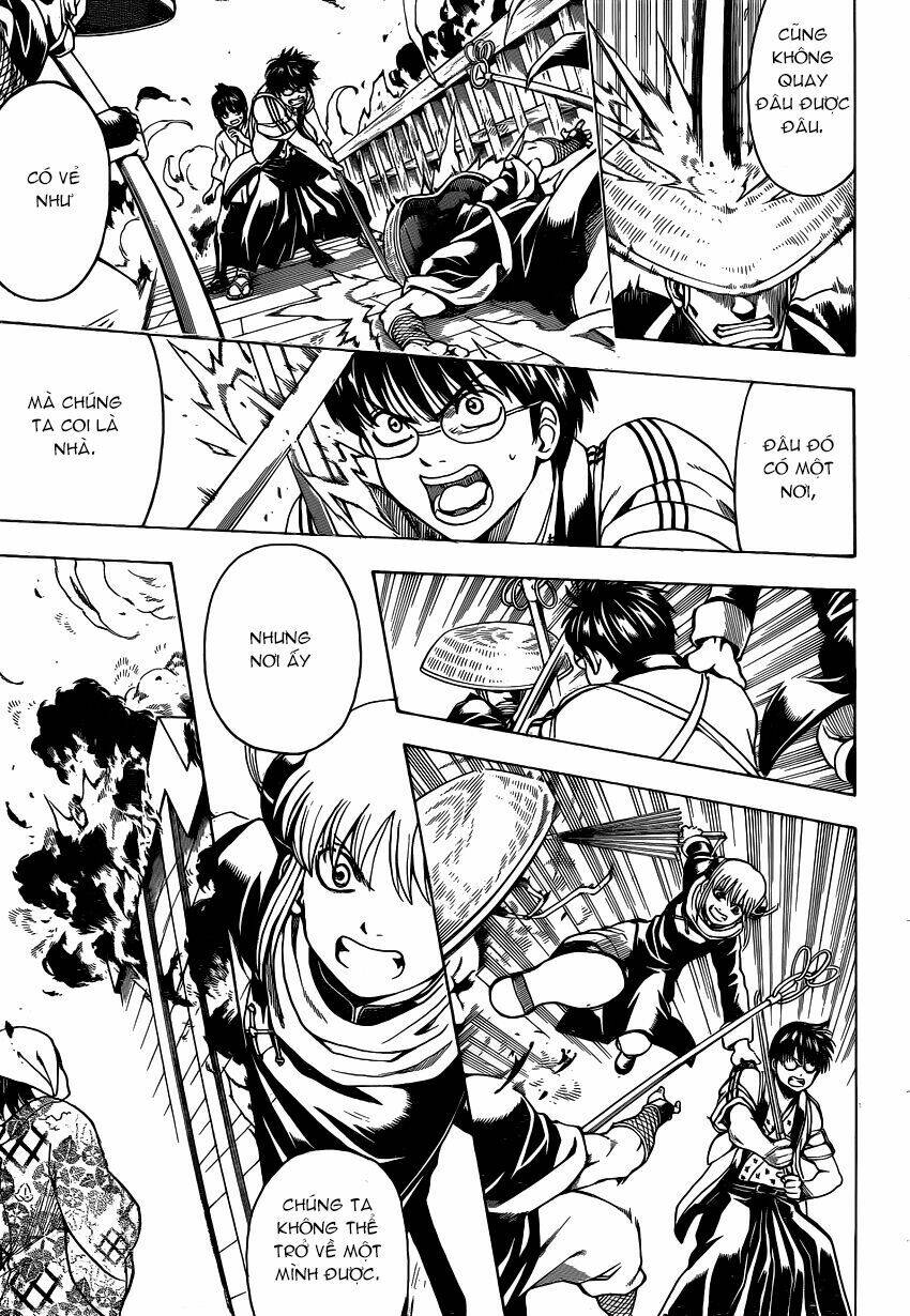 gintama - linh hồn bạc chapter 532 5