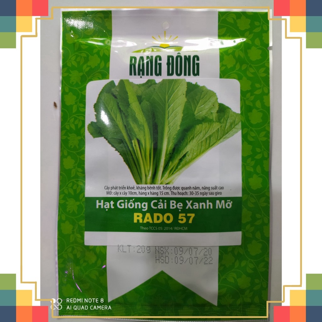 Hạt Giống Cải Bẹ Xanh Mỡ Rạng Đông Gói 20Gram