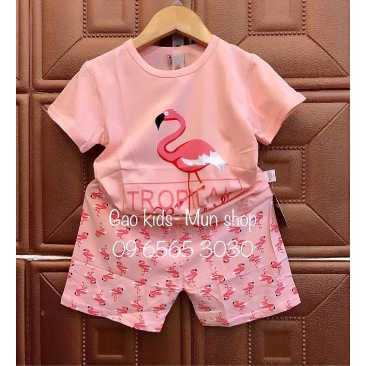 Bộ cộc tay xuất Hàn size nhỡ cho bé gái 15-23kg