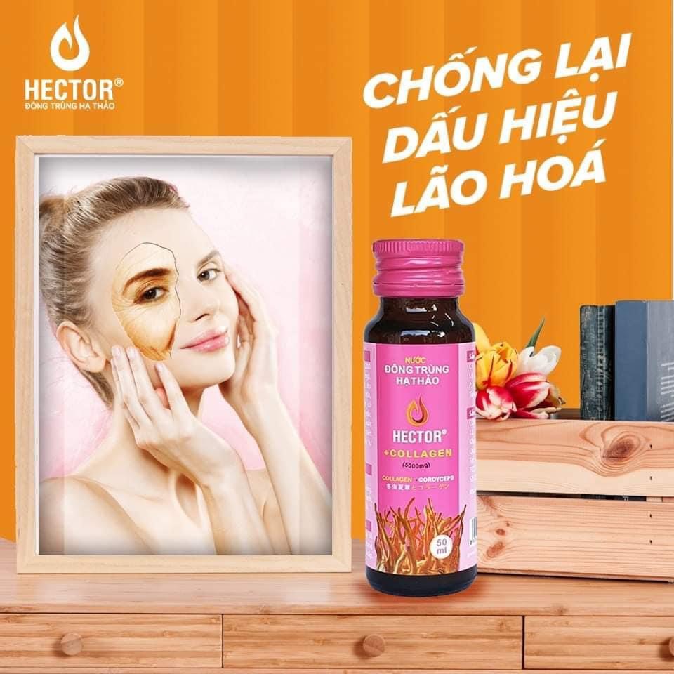 Nước Đông Trùng Hạ Thảo Hector Collagen - Hàng chính hãng