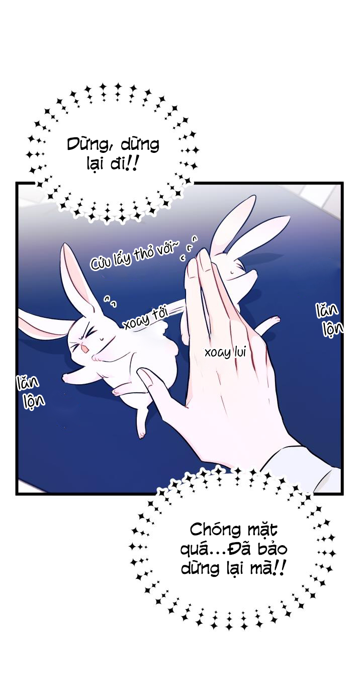 mối liên kết giữa báo đen và bé thỏ chapter 10 19