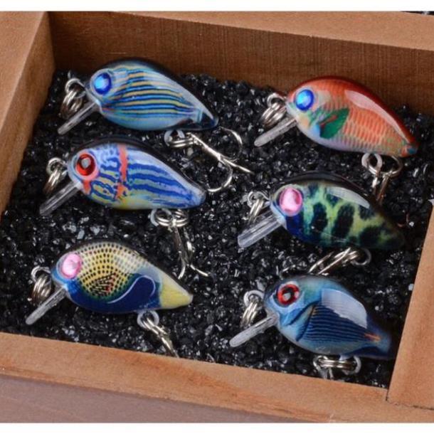 Mồi ruồi 3D - chuyên bắt rô phi,rô ta, chuối, thiểu, ngão,sộp,chim đồ câu FISHING_HD