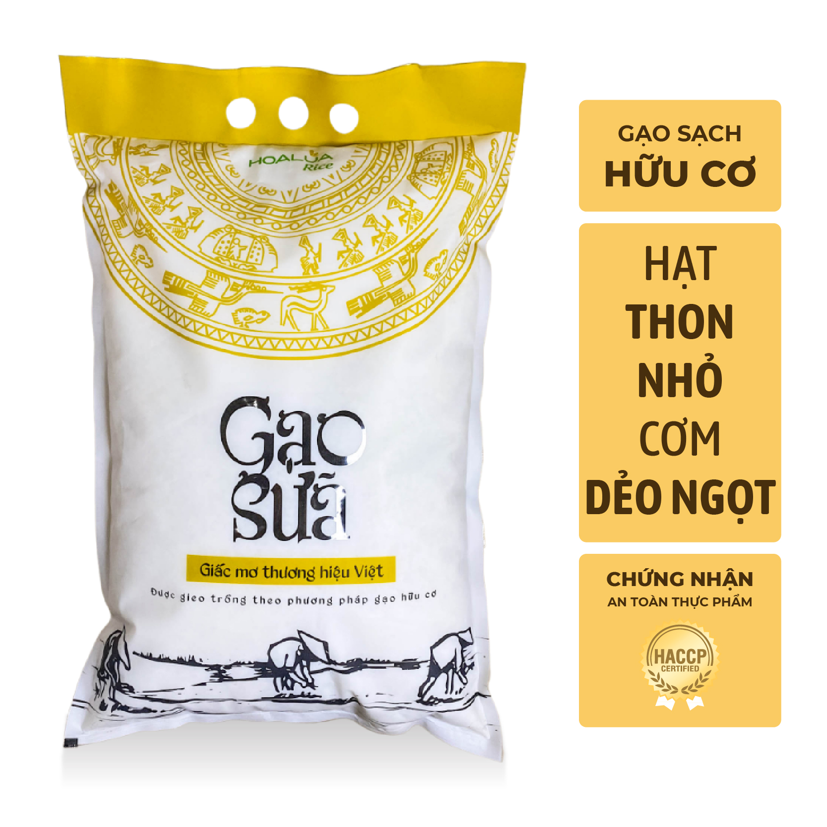 GẠO SỮA THƯỢNG HẠNG 5kg - Gạo Hoa Lúa