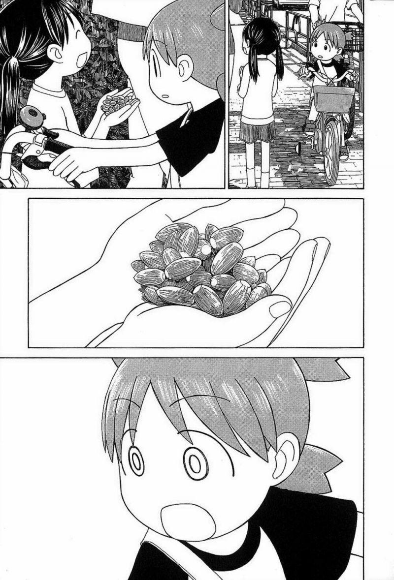 yotsubato! chapter 55 11