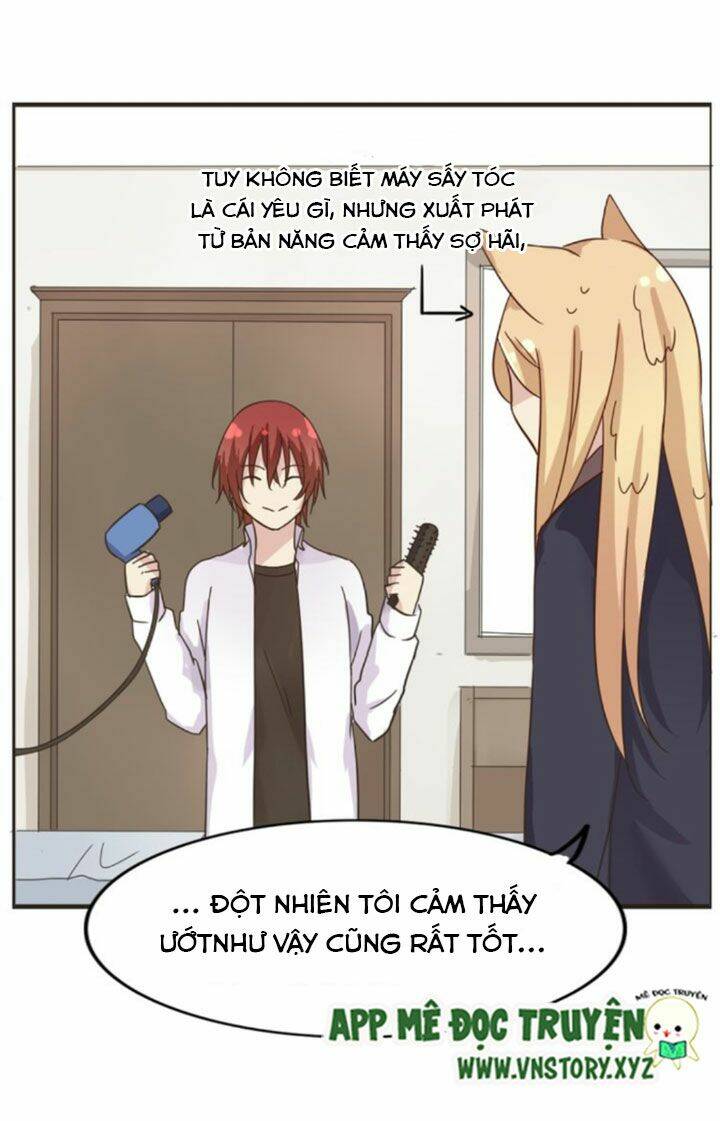 hồ tiên này không tin được chapter 4 15