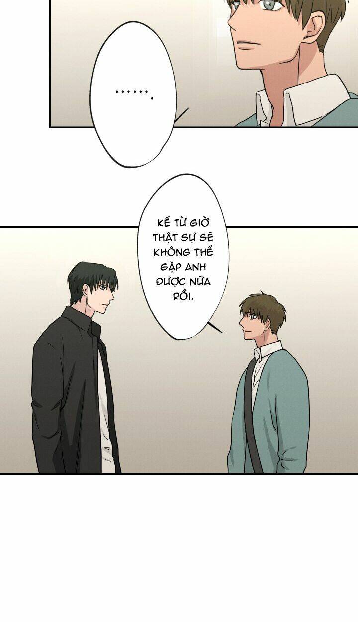 trốn tìm chapter 11 28